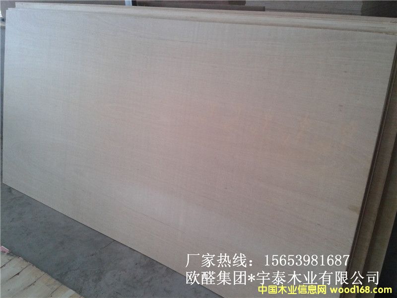 ɽ����׶����z�ϰ��Ԕ����B