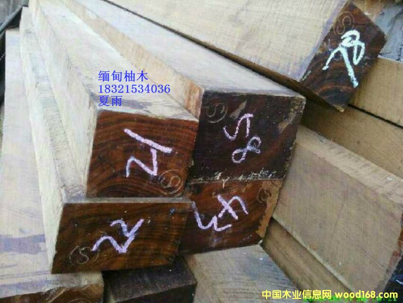 ������ľ��Ԕ����B