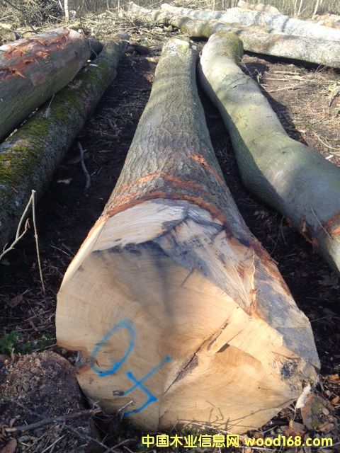 �����Ԕ����B