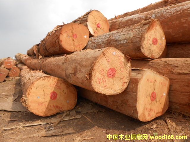 ��ľ��Ԕ����B