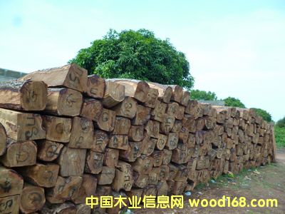 �Ӽ{������ �����̴��Ԕ����B