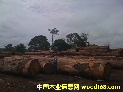 �W�� OKAN��Ԕ����B