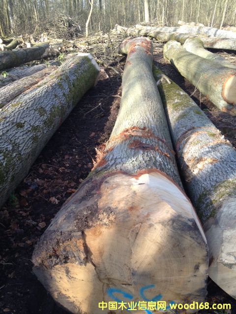 �t���Ԕ����B