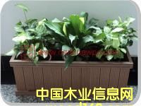 �����Ԕ����B