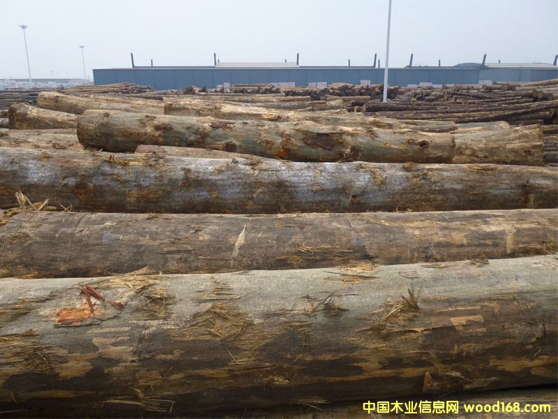 �����ɣ������ģ���Ԕ����B