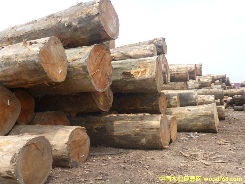 �����ɣ������ģ���Ԕ����B