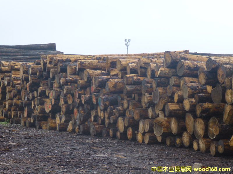 ��ɼ�����ô󣩵�Ԕ����B