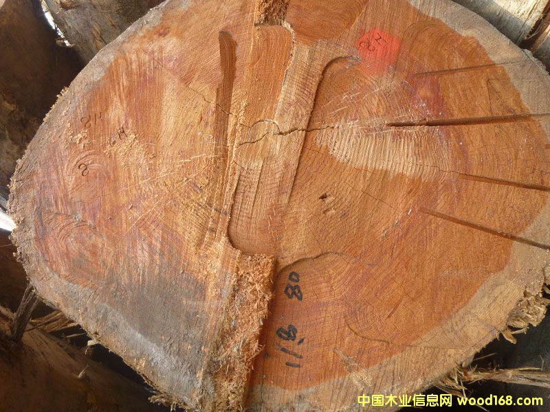 �����ɣ������ģ���Ԕ����B