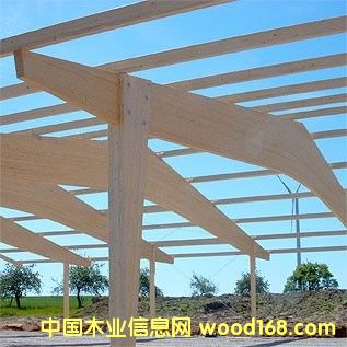 ����ľ��