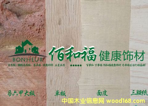 �R���� ���B(t��i)�塢�����¹���Ԕ��(x��)��B