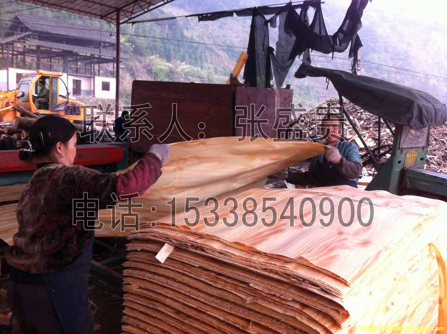 ��ľ�ΰ� ���0.8MM