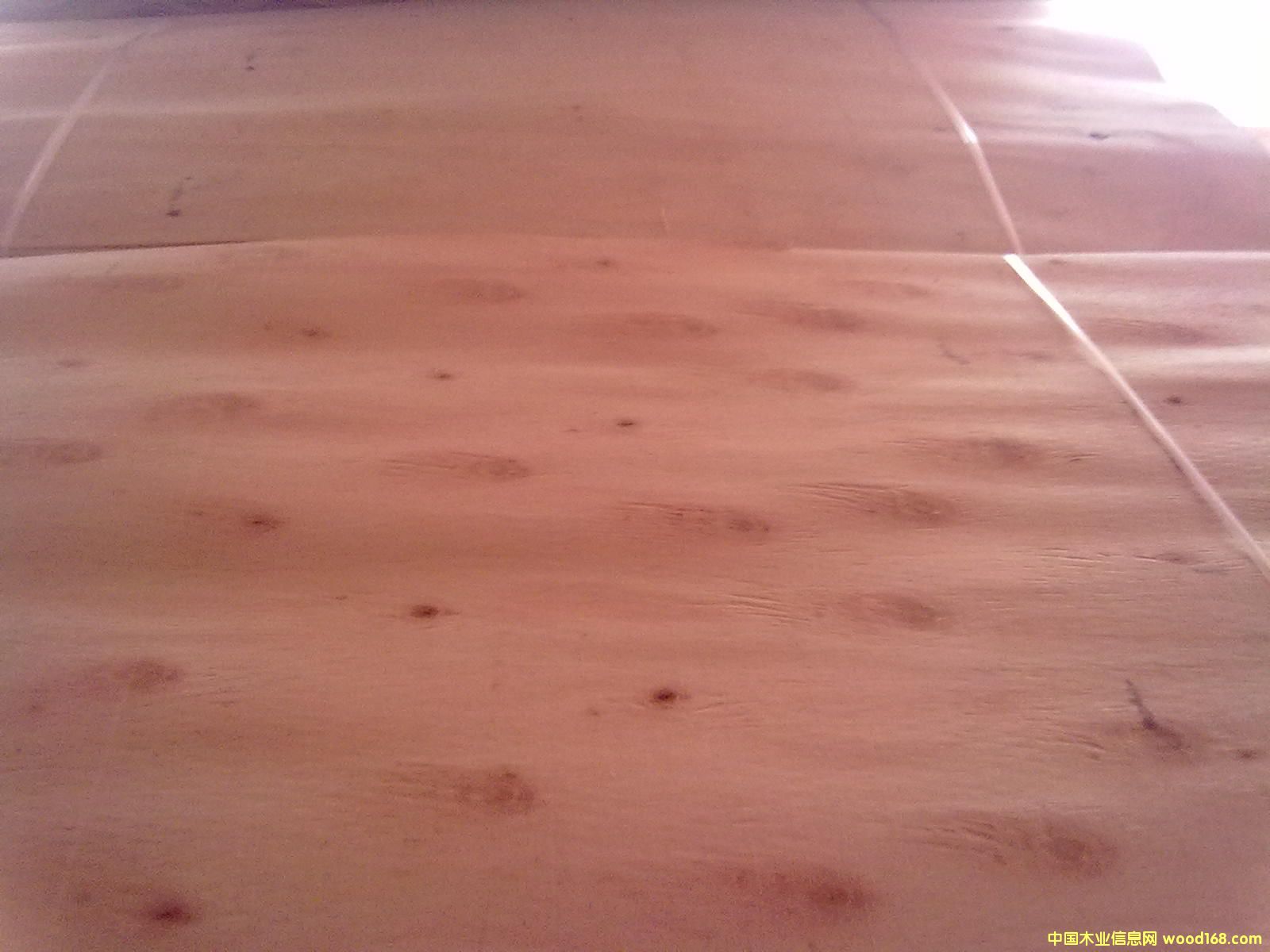 һ�����Ԕ����B