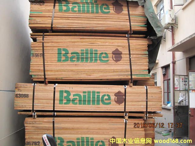 ��������ľ��Ԕ����B