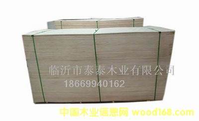 ���N��ȵĶ��Ӱ��b�� 