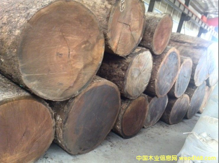 �����z骵�Ԕ����B