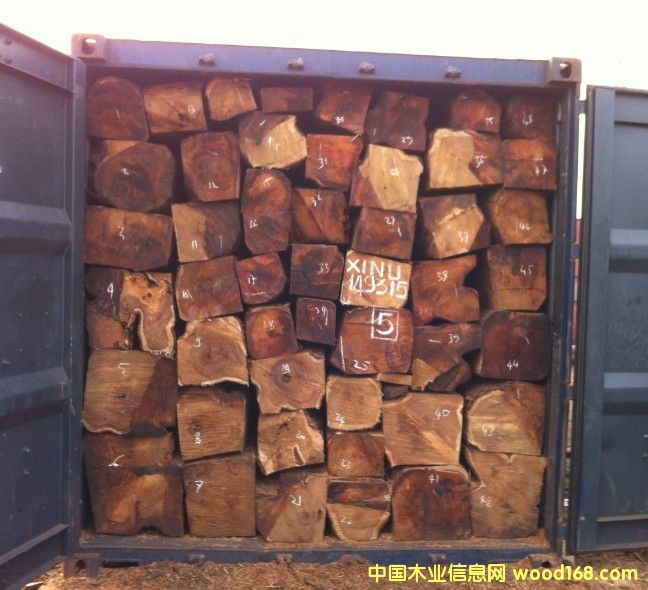 �����̴��Ԕ����B