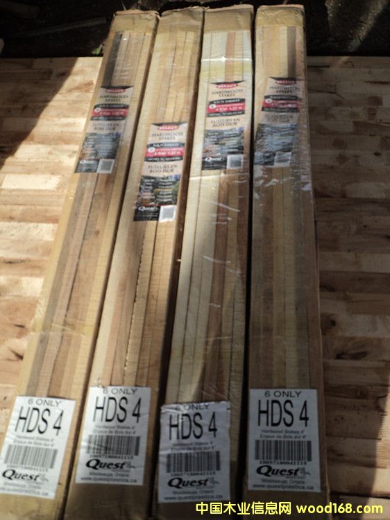 ľ�|(zh��)�řڵ�Ԕ��(x��)��B