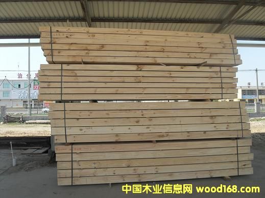 ݗ���ɵ�Ԕ����B