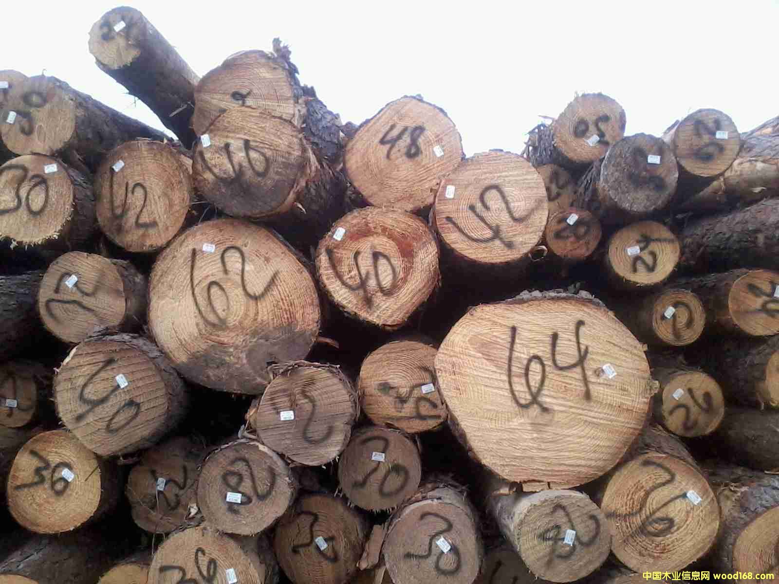 �����Ϸ��ɵ�Ԕ����B