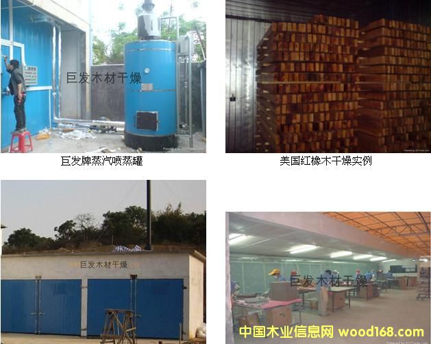 ��ľ������Ԕ����B