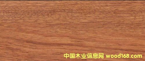 ��ʰͶ���Ԕ����B