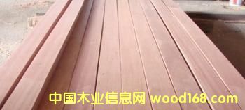 �y��ľ��Ԕ����B