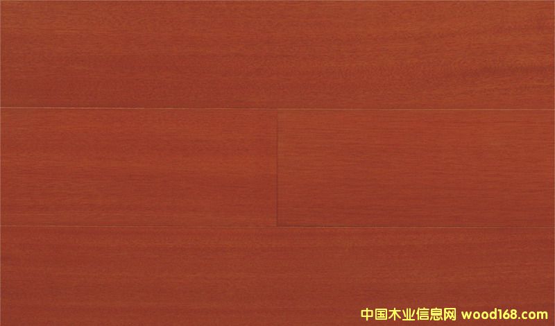 ɽ��ľ��Ԕ����B