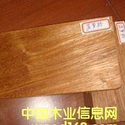 ���޲��}���Ԕ����B