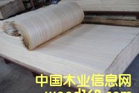 ԭɫ�Ƽ�ľ��Ƥ��Ԕ����B