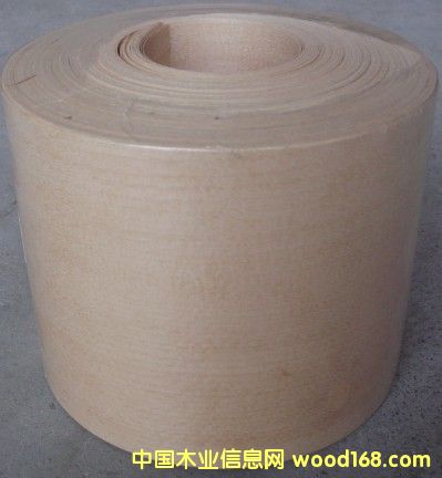 ������ľ�o����ľƤ��Ԕ����B