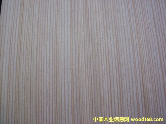 ����(y��ng)EV��˨ľƤ