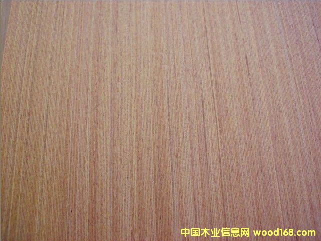 ����EV���y��ľ��ľƤ��Ԕ����B