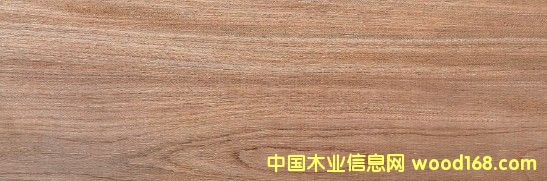 �����M(j��n)����ľ��Ԕ��(x��)��B