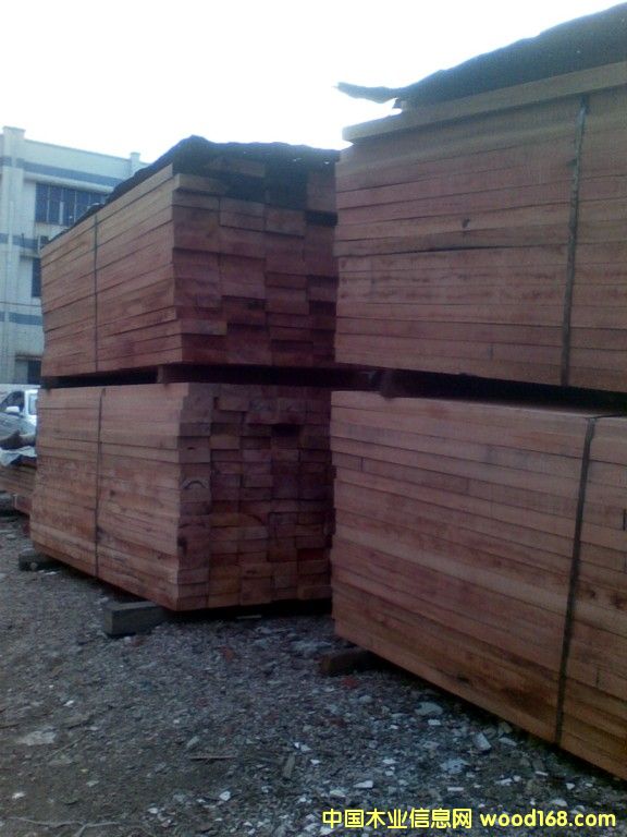 ɽ��ľ��Ԕ��(x��)��B