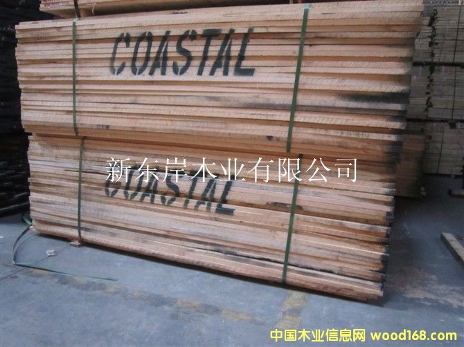 �t��-Coastal��Ԕ����B