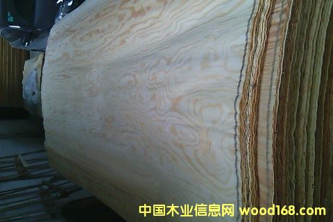 ������ľƤ��Ԕ����B