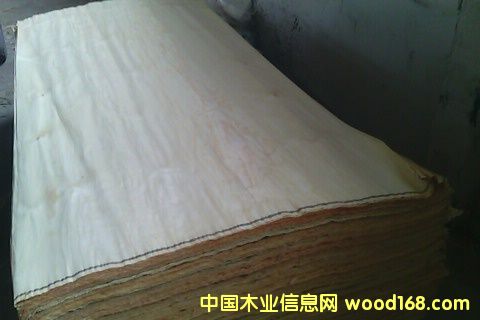 ������ľƤ��Ԕ����B