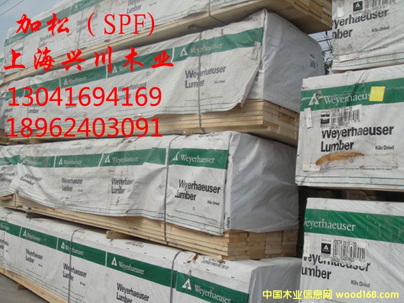 ����-SPF��Ԕ����B