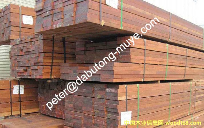 ɽ��ľ��Ԕ����B