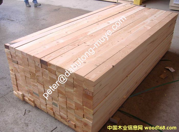 ���������ɵ�Ԕ����B