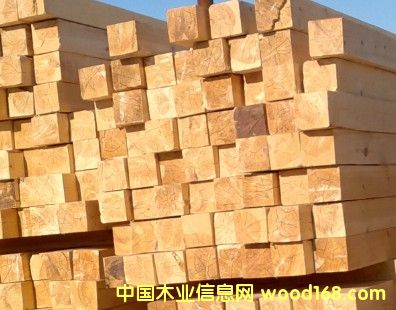 �Ͼ���õķ���ľ�S(ch��ng)�ҵ�Ԕ��(x��)��B