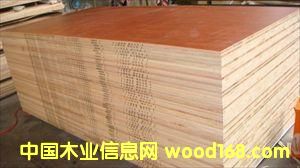 ���B(t��i)�壬���N���е͙n����ľ����