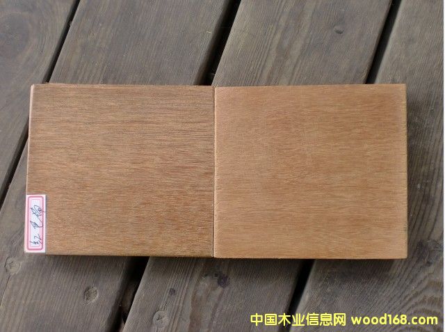 �c���鿴�̈́�ľ�Ŵ�DƬ