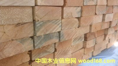 ����SPF2*4*10��Ԕ����B