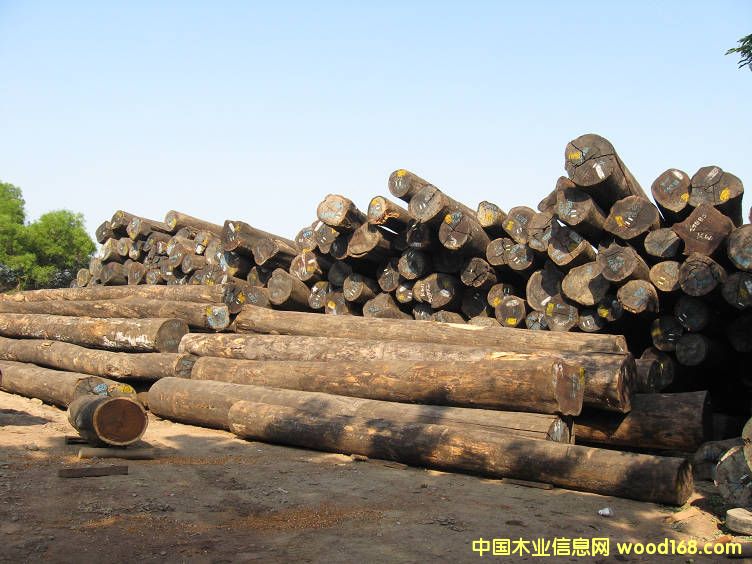 ���²��}��ԭľ��Ԕ����B