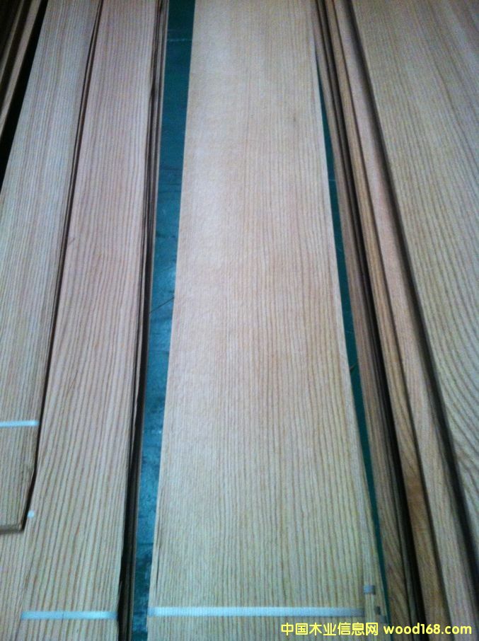 �t��ľƤ��Ԕ��(x��)��B