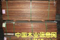 ӡ�Ფ�}���Ԕ����B