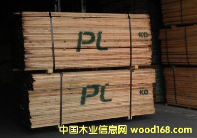 ���l�t��-PL��Ԕ����B