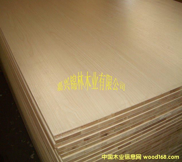 ���B(t��i)�� ����� �����谷���Ԕ��(x��)��B