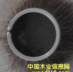 �c���鿴���m�����ëˢ��Ԕ���Y��